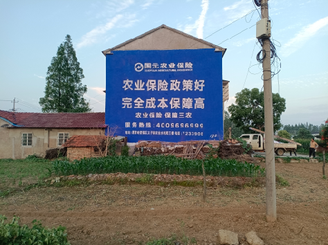 怒江墙体广告的优劣势你知道吗？