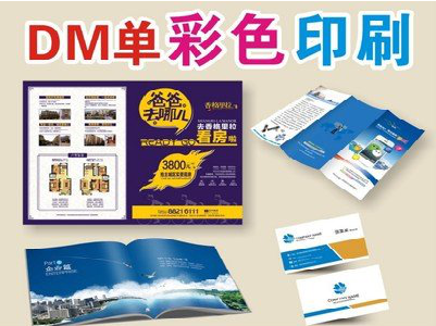 怒江单页印刷，色彩搭配简单。